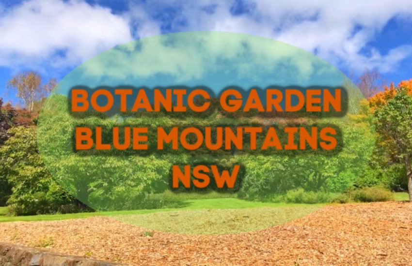 Botanic gardens Blue Mountains